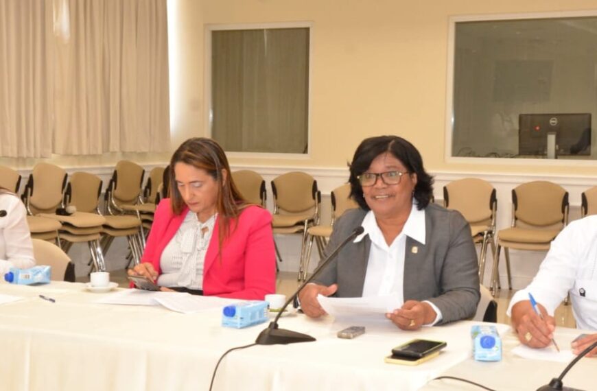 Comisión del Senado avanza estudio Proyecto de Ley sobre sistema de seguimiento a órdenes de alejamiento