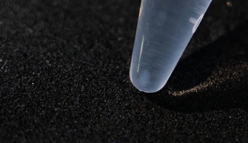 Exitosa primera extracción de ADN en corales en la República Dominicana