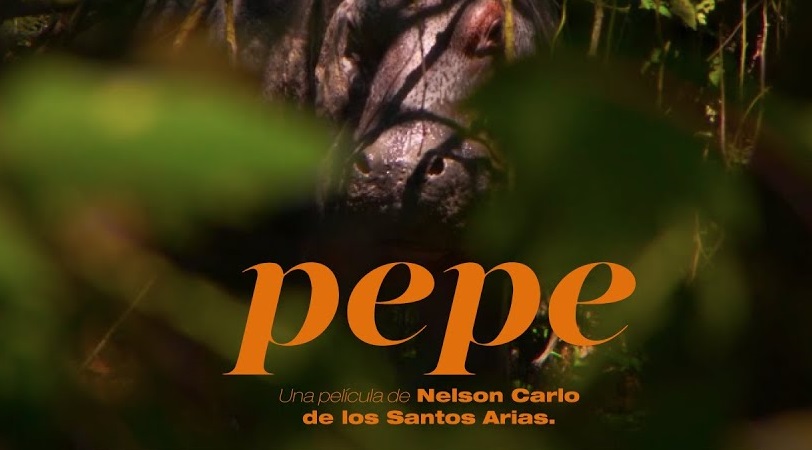 Festival de cine de La Habana presenta laureado filme Pepe