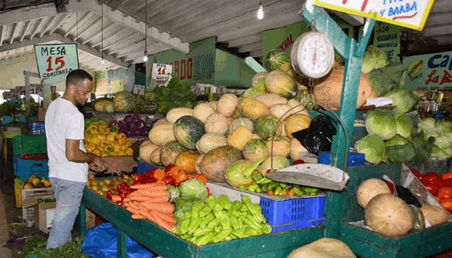 Dominicanos sienten alza de la canasta familiar desde inicios de año