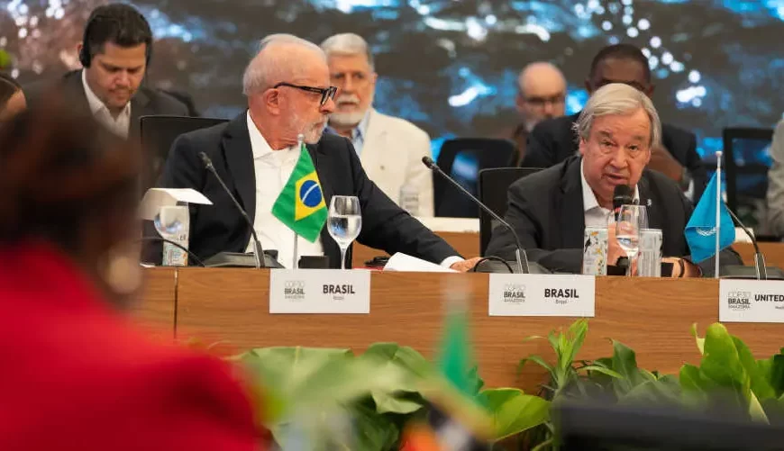 Voces en la Selva: Brasil&hellip;